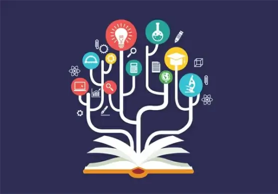education processes infographic with open book design