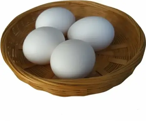 eggs in a basket