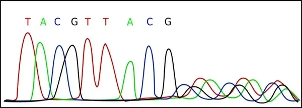 Electropherogram