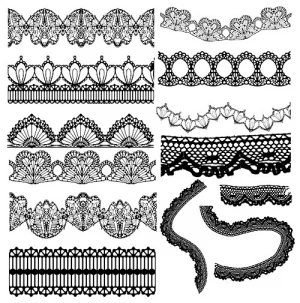 elegant black lace vector