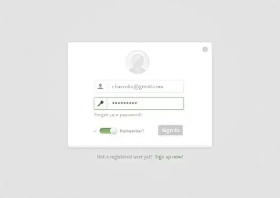 Elegant Login Form Design