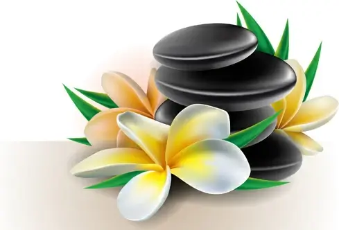 elegant orchids design vector