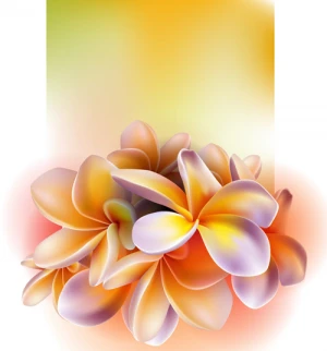 elegant orchids design vector