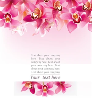 elegant orchids vector background art
