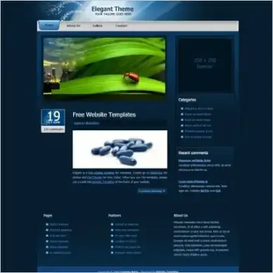 elegant theme
