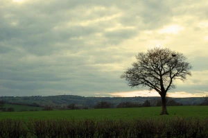 english landscape