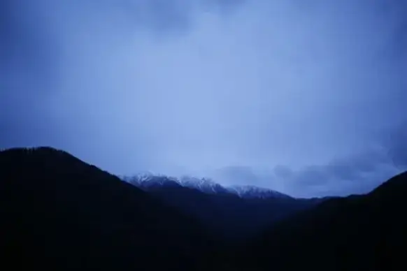 evening fog forest hill landscape light majestic