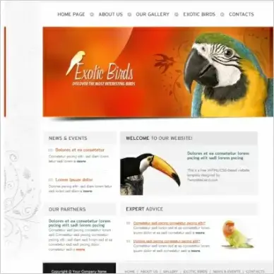 Exotic Birds Template