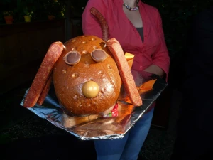 face sausage dog dog