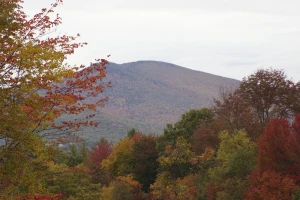 fall foliage autumn trees mountains
