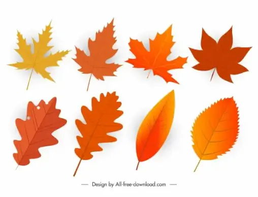 fall leaves icons orange modern shapes