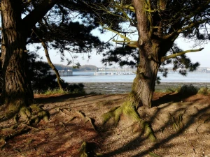 fareham creek portchester wicor harbour view