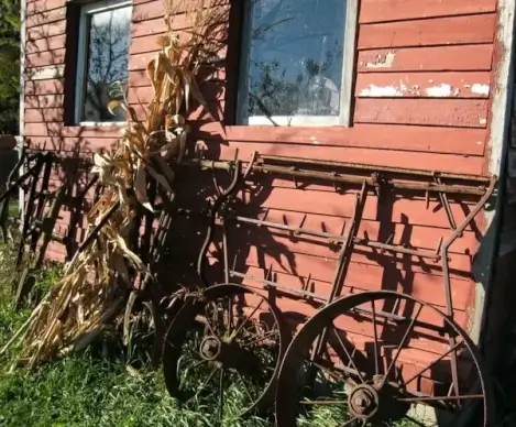 farm life