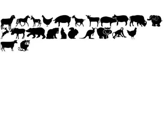 Farm & Wild Animals