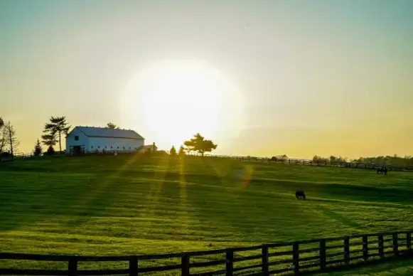 farmland picture elegant contrast sunset