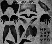 Feathered Angel Wings Brushes