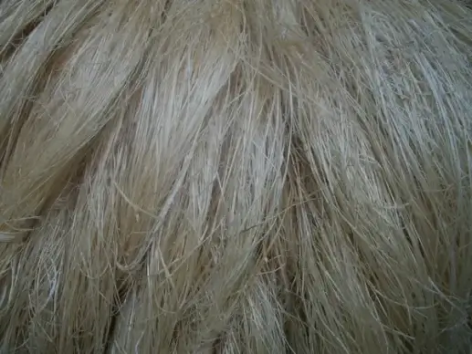 fibers