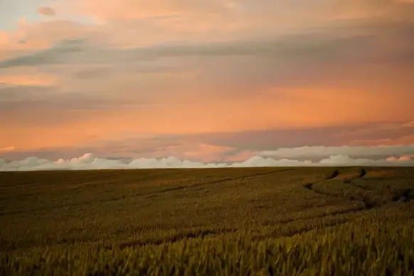 field landscape picture clouds high view