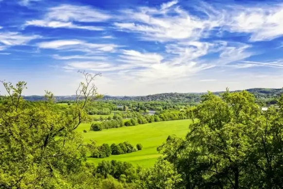 field scenery backdrop elegant tranquility