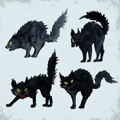 fierce cats drawing handdrawn sketch