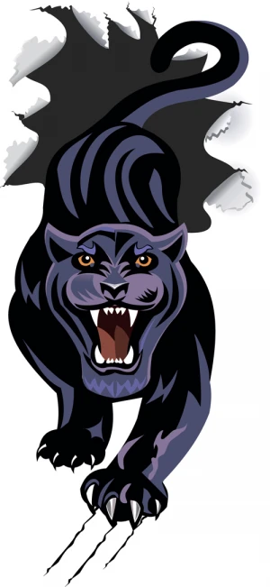 fierce panther vector