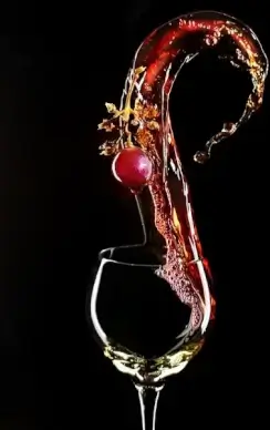 fine red wine picture 4