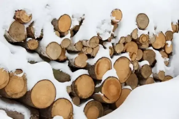 firewood for winter