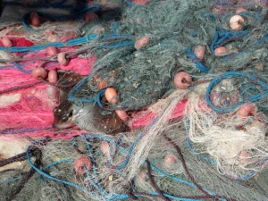 fishing nets caught catch