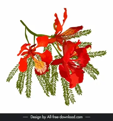 flamboyant flower design elements retro handdrawn