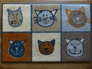 floor mat shoe scraper doormat