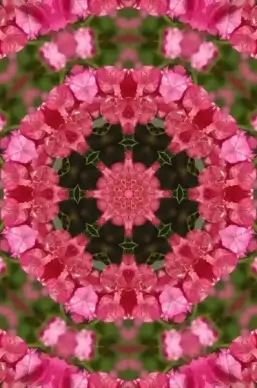 floral mandala 2