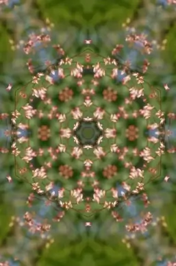 floral mandala 3