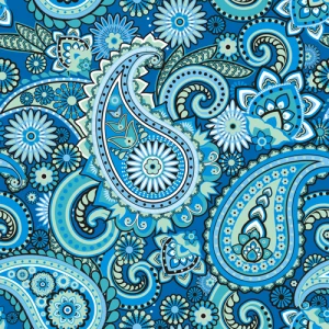 floral paisley pattern seamless vector