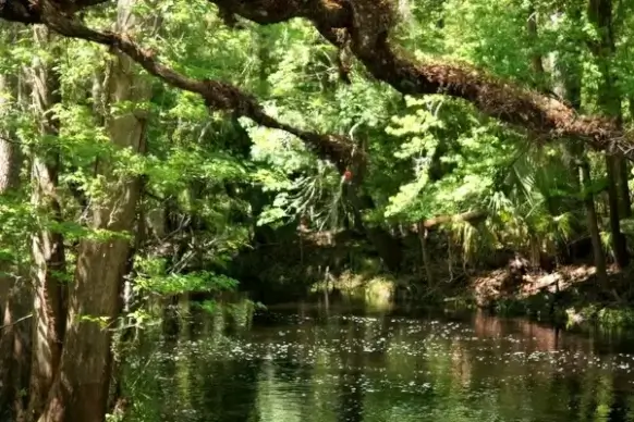 florida stream creek