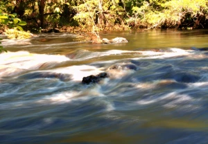 florida stream creek