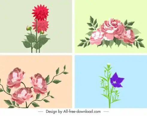 flower backgrounds colorful decor blooming sketch