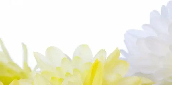 flower border
