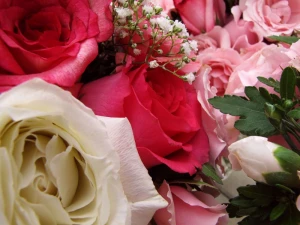 flower bouquet arrangement