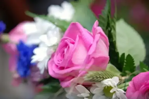 flower bouquet leaf