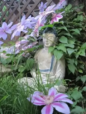 flower buddha