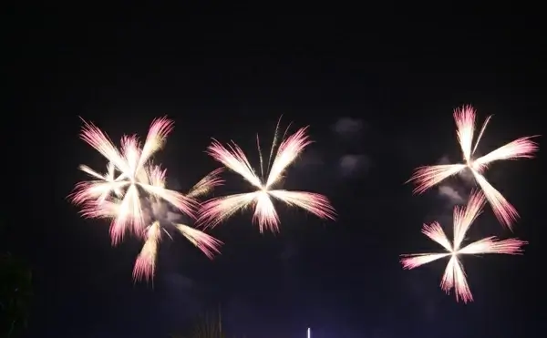 flower fireworks