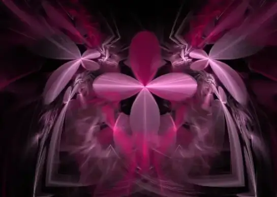 flower petals in beautiful pink