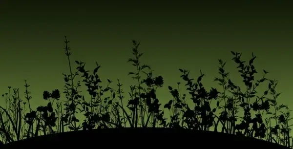 flower silhouette dusk
