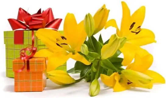 flowers and gifts definition picture 03