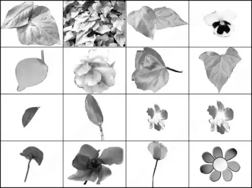 flowers and leave brush