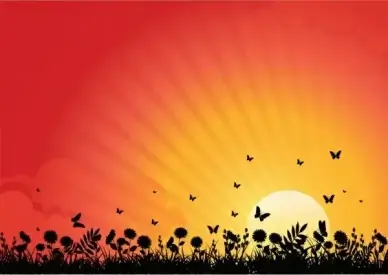 Flowers at Sunset