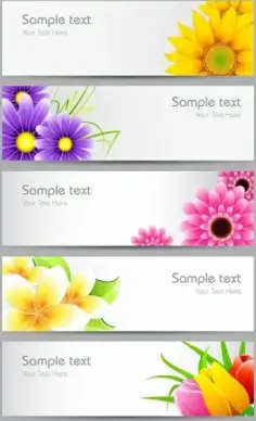 flowers banner01vector