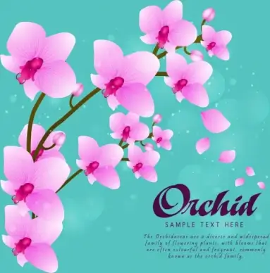 flowers drawing violet orchids icons