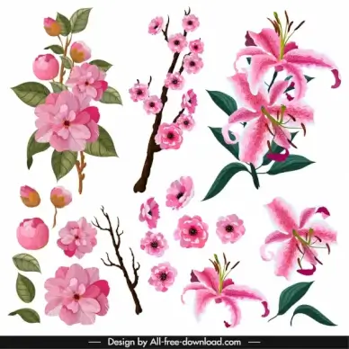 flowers icons branch petals sketch classical colorful design