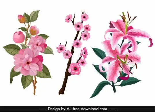 flowers icons colored classical decor